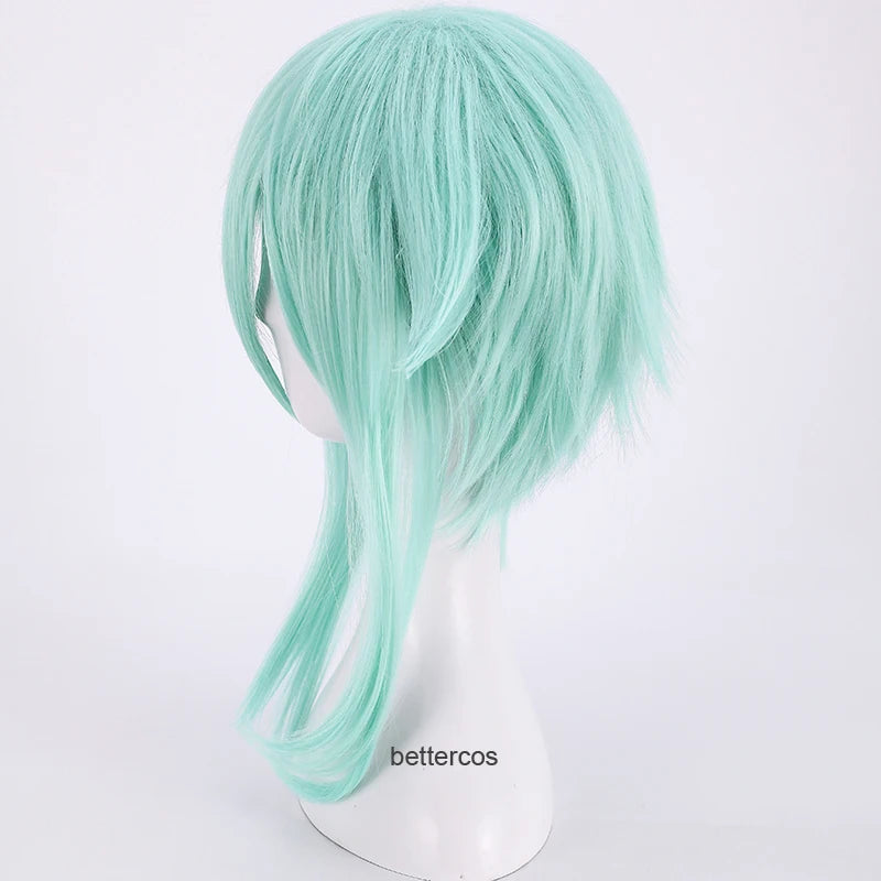 Sword Art Online Sinon Cosplay Wig