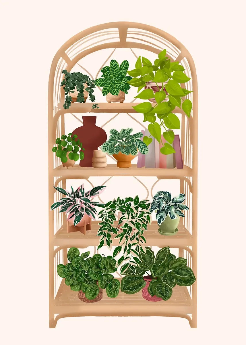 Trendy Cute Plants On A Shelf Posters Modern Quirky Plant Minimalism Prints Canvas Painting Wall Pictures Home Living Room Decor