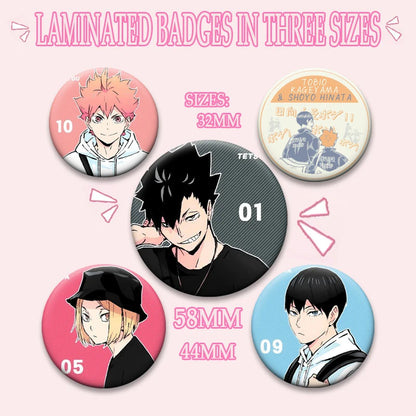 Haikyuu!! Anime Brooch Badge