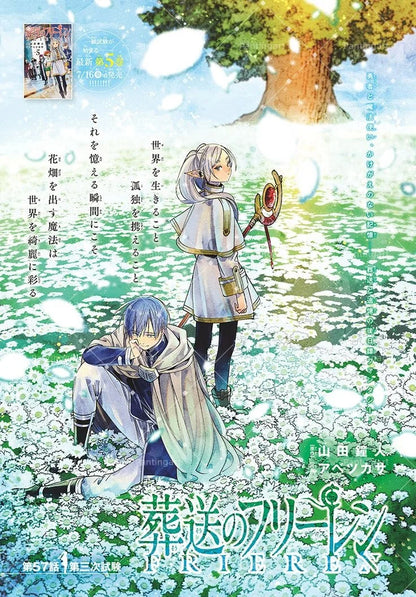 Magic Fantasy F-Frieren Beyond Journeys End Anime Canvas Painting Classic Elf Magic Girl Manga Art Poster Teens' Room Home Decor