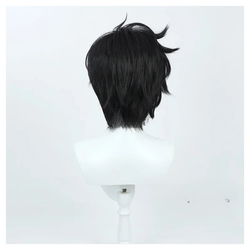 Solo Leveling Sung Jinwoo Wig