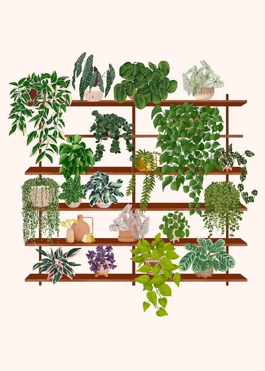 Trendy Cute Plants On A Shelf Posters Modern Quirky Plant Minimalism Prints Canvas Painting Wall Pictures Home Living Room Decor