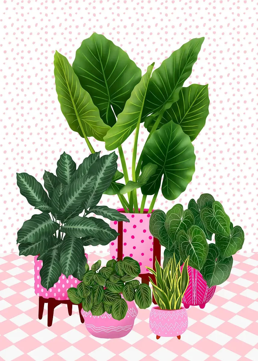 Trendy Cute Plants On A Shelf Posters Modern Quirky Plant Minimalism Prints Canvas Painting Wall Pictures Home Living Room Decor