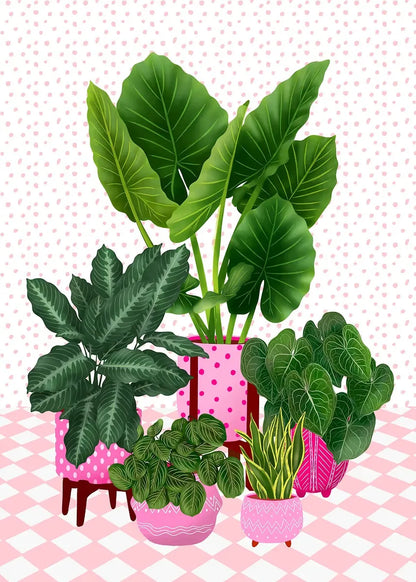 Trendy Cute Plants On A Shelf Posters Modern Quirky Plant Minimalism Prints Canvas Painting Wall Pictures Home Living Room Decor