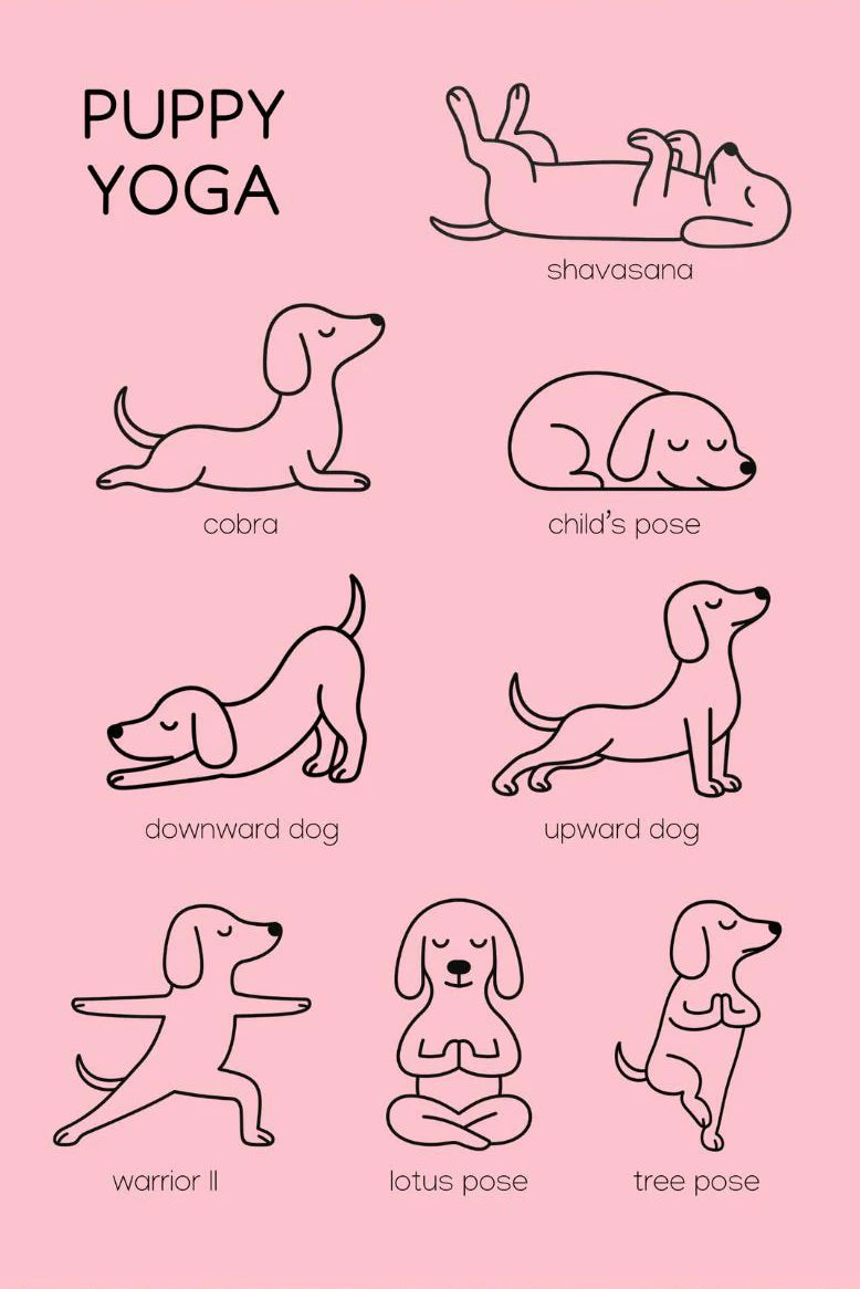Dachshund Minimalist Wall Art