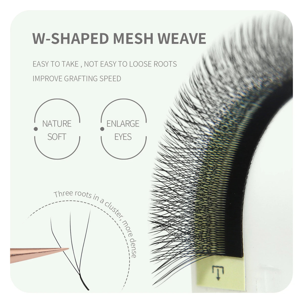 Anime Character W Lash
