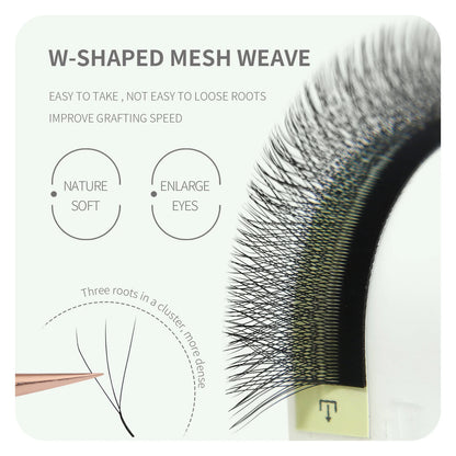 Anime Character W Lash