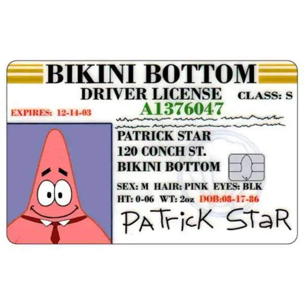 SpongeBob Patrick Star Card Skin