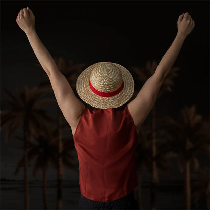 One Piece Luffy Straw Hat