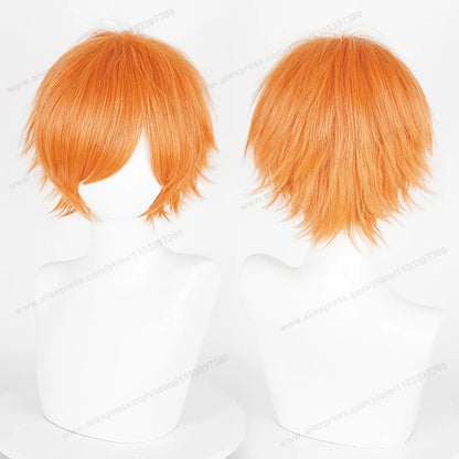 Anime Cosplay Short Wig