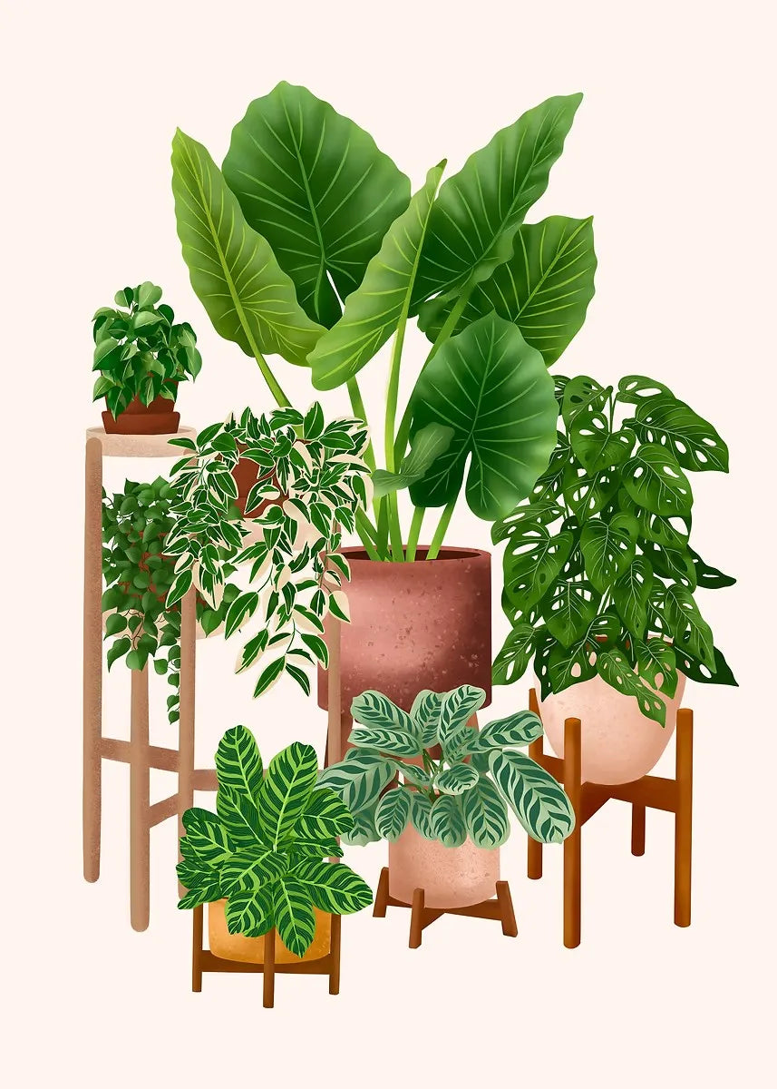 Trendy Cute Plants On A Shelf Posters Modern Quirky Plant Minimalism Prints Canvas Painting Wall Pictures Home Living Room Decor