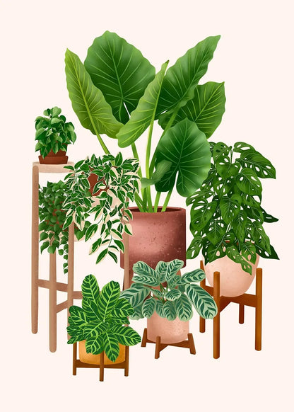 Trendy Cute Plants On A Shelf Posters Modern Quirky Plant Minimalism Prints Canvas Painting Wall Pictures Home Living Room Decor