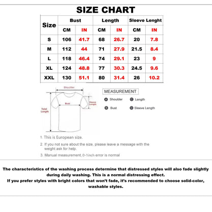 2026 Japanese Anime Frieren Beyond Journey's End T Shirt Vintage Washed T-Shirt Men's Clothing Short Sleeve Cotton Tee Tops