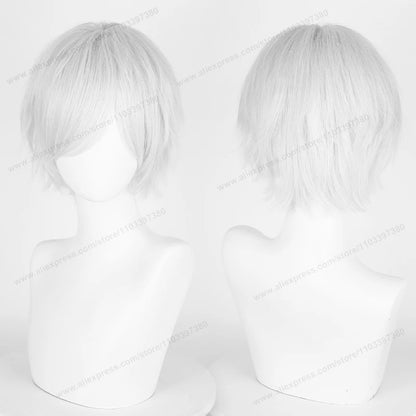Anime Cosplay Short Wig