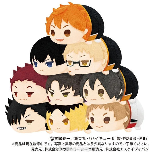 Haikyuu Hinata Plush Pendant