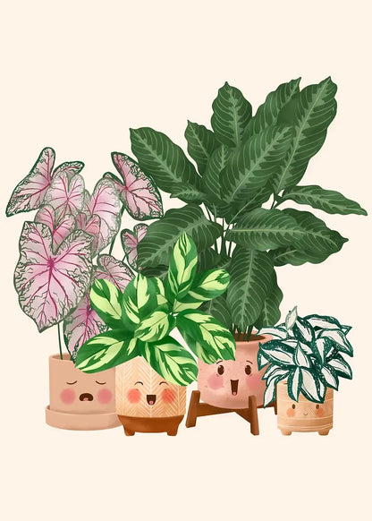Trendy Cute Plants On A Shelf Posters Modern Quirky Plant Minimalism Prints Canvas Painting Wall Pictures Home Living Room Decor