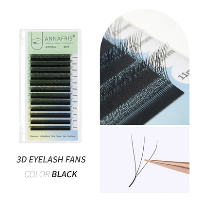 Anime Character W Lash