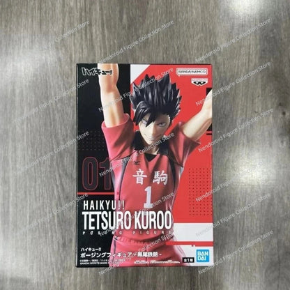 Haikyuu Shoyo Hinata Figure