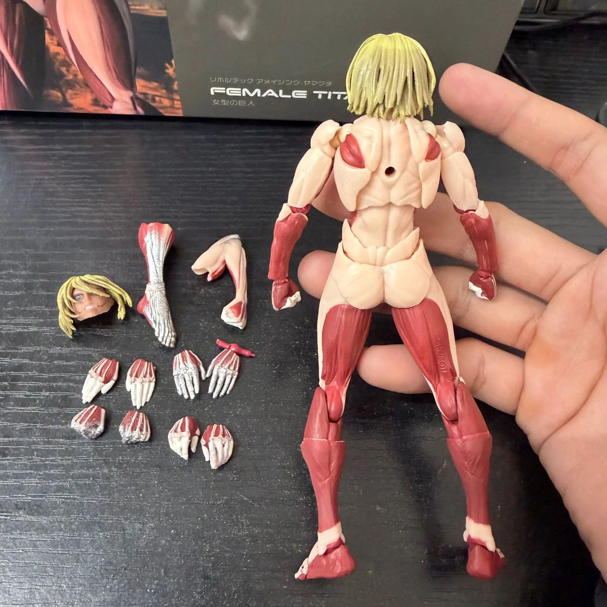 In Stock Kaiyodo Attack On Titan The Female Titan Amazing Yamaguchi Revoltech Action Figures Toy Figurine Ko Model Doll Gift