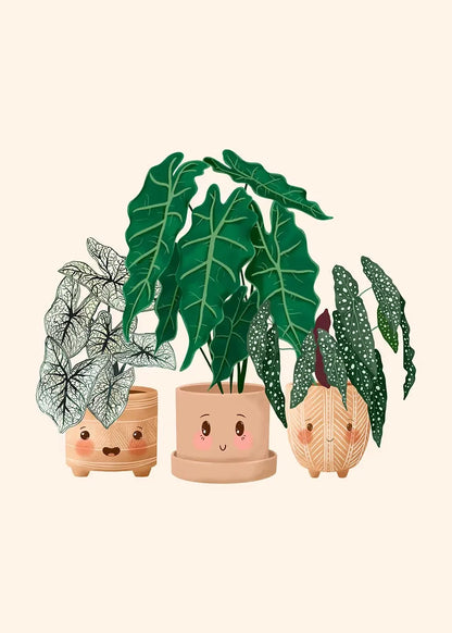 Trendy Cute Plants On A Shelf Posters Modern Quirky Plant Minimalism Prints Canvas Painting Wall Pictures Home Living Room Decor