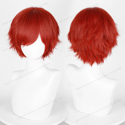 Anime Cosplay Short Wig