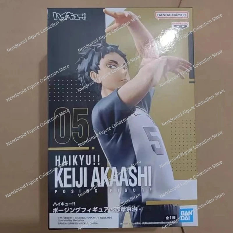 Haikyuu Shoyo Hinata Figure