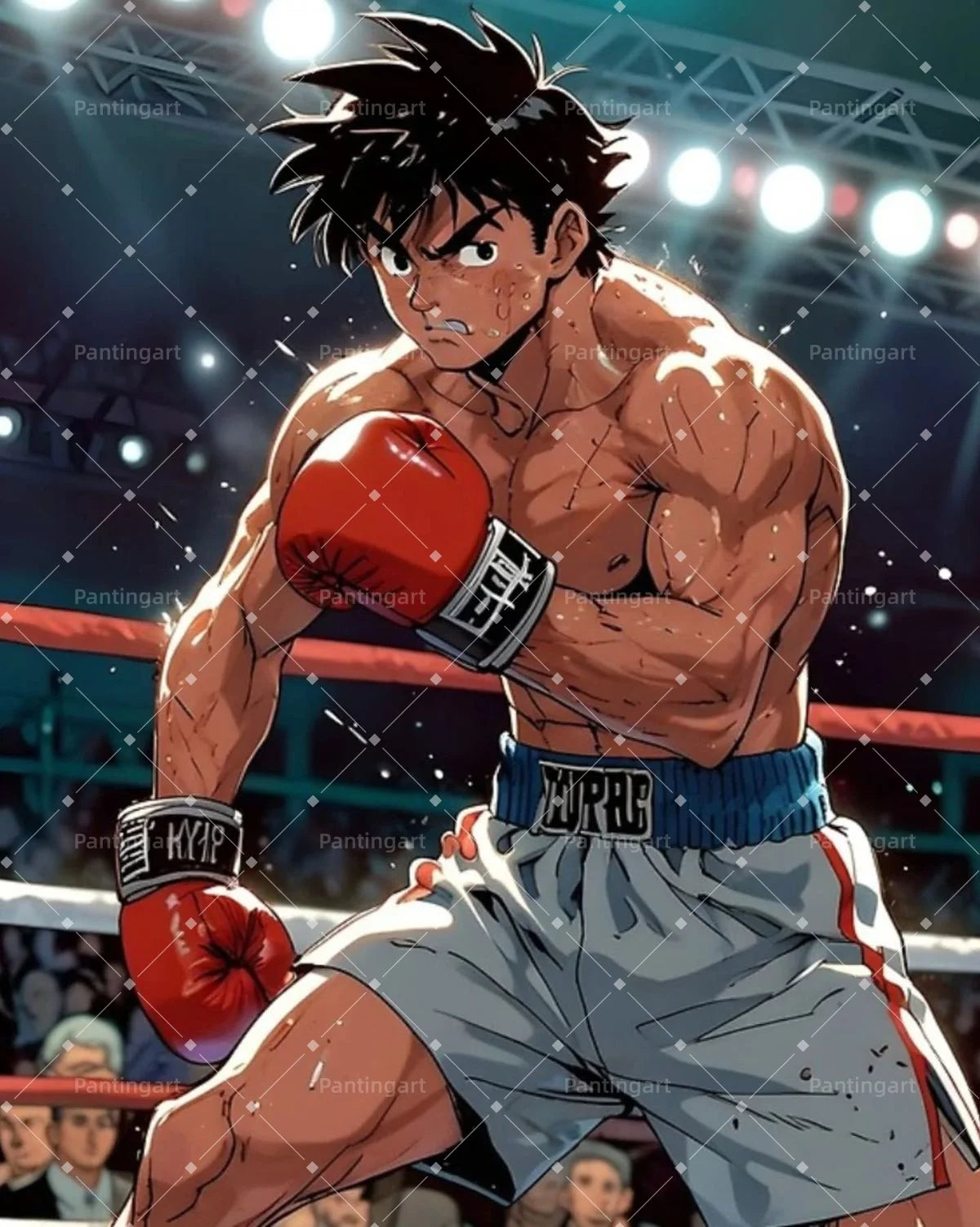 Hajime No Ippo Boxing Canvas