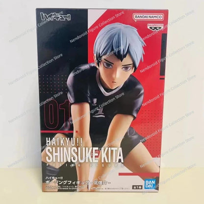 Haikyuu Shoyo Hinata Figure