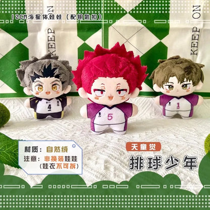 Haikyuu Ushijima Wakatoshi Keychain