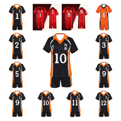 Haikyu!! Hinata Shoyo Jersey