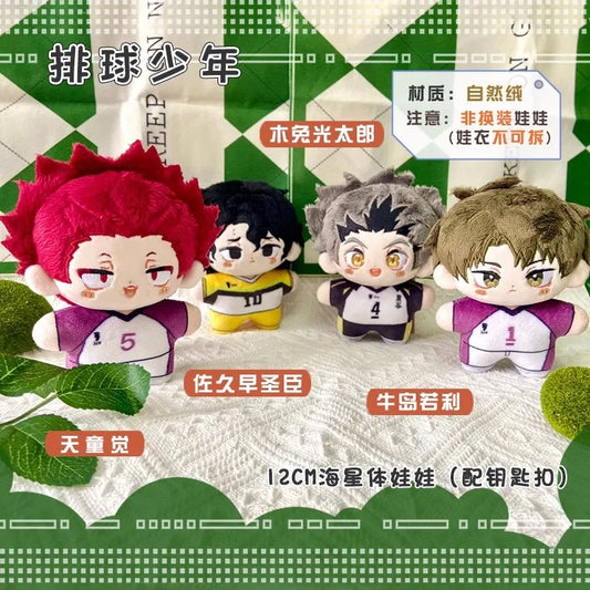 Haikyuu Ushijima Wakatoshi Keychain