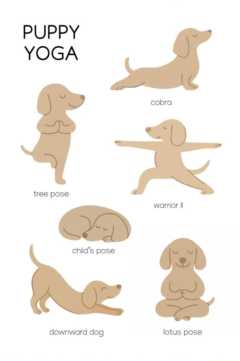 Dachshund Minimalist Wall Art