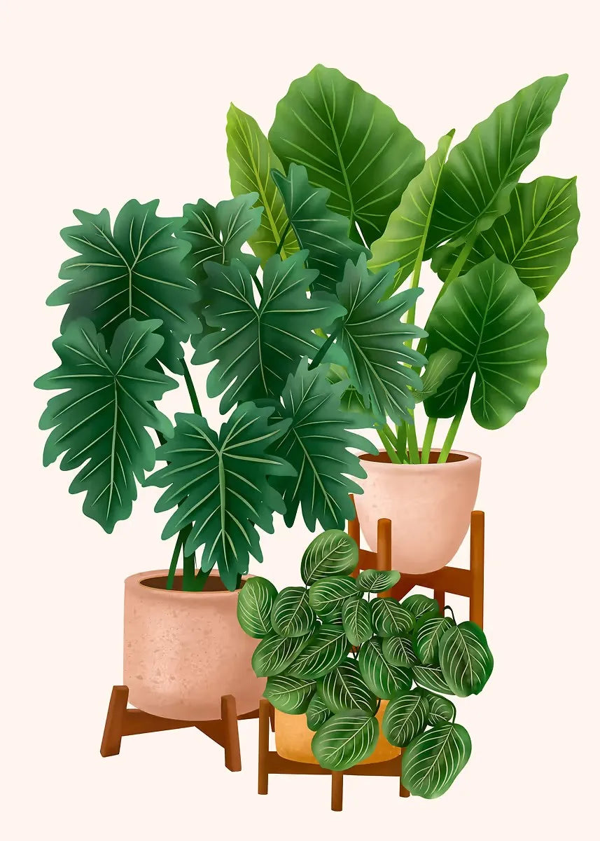 Trendy Cute Plants On A Shelf Posters Modern Quirky Plant Minimalism Prints Canvas Painting Wall Pictures Home Living Room Decor