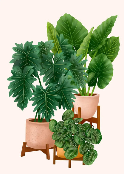 Trendy Cute Plants On A Shelf Posters Modern Quirky Plant Minimalism Prints Canvas Painting Wall Pictures Home Living Room Decor