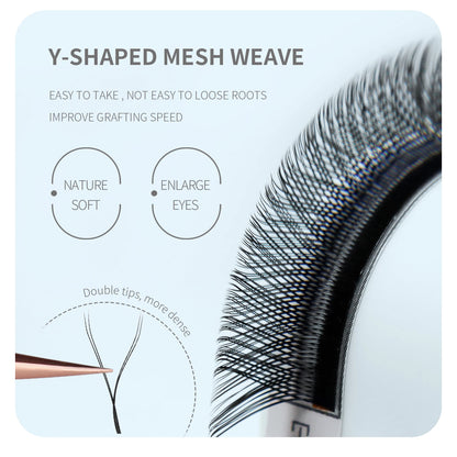 Anime Character W Lash