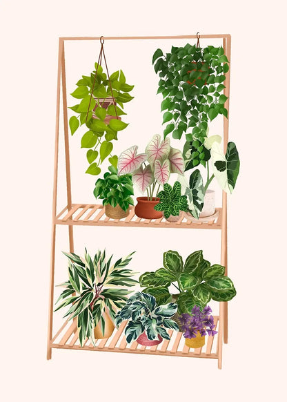 Trendy Cute Plants On A Shelf Posters Modern Quirky Plant Minimalism Prints Canvas Painting Wall Pictures Home Living Room Decor