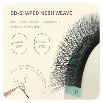 Anime Character W Lash