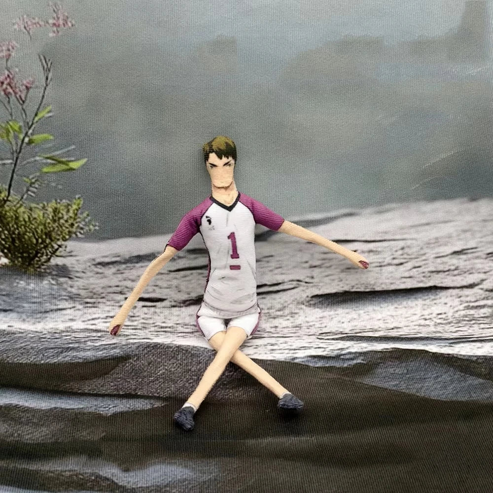 Haikyuu Hinata Shoyo Doll