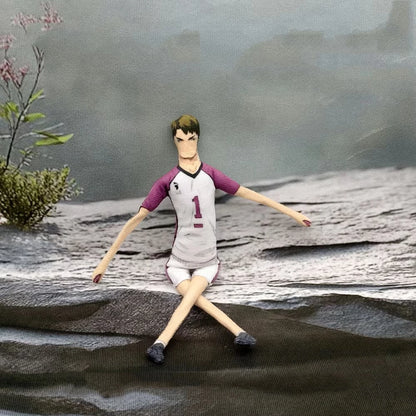 Haikyuu Hinata Shoyo Doll