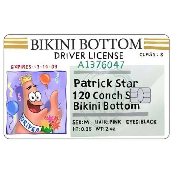 SpongeBob Patrick Star Card Skin