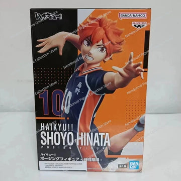Shoyo Hinata