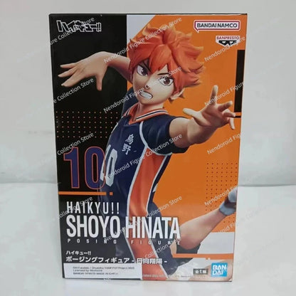 Haikyuu Shoyo Hinata Figure