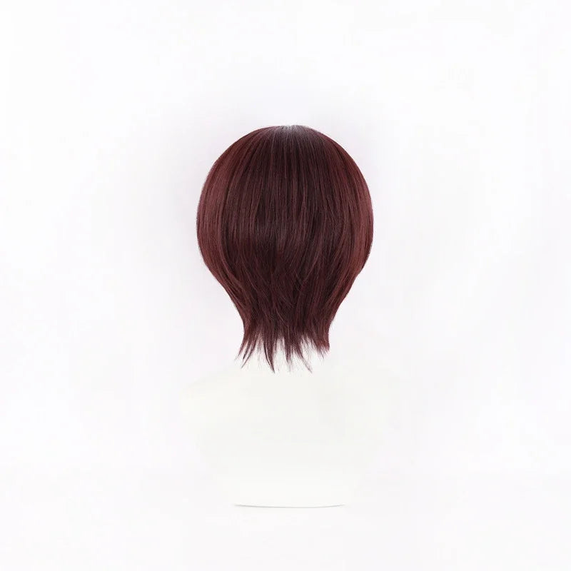 Wind Breaker Hayato Suo Wig
