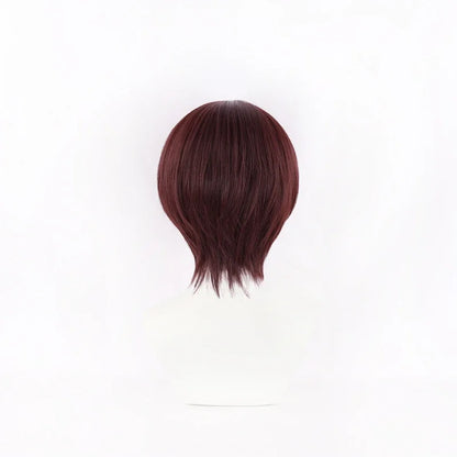 Wind Breaker Hayato Suo Wig