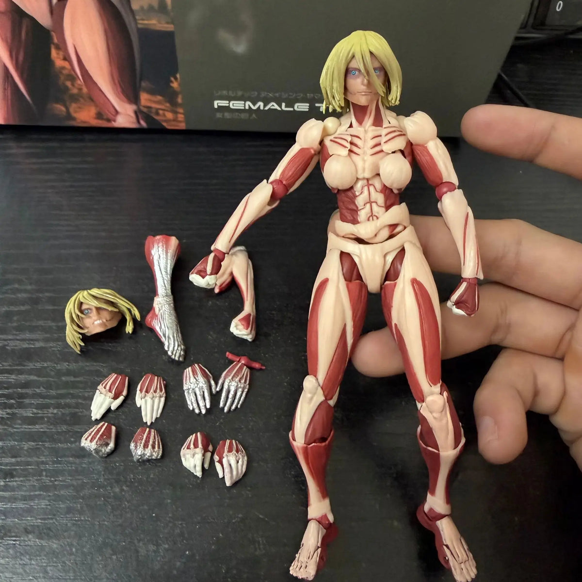 In Stock Kaiyodo Attack On Titan The Female Titan Amazing Yamaguchi Revoltech Action Figures Toy Figurine Ko Model Doll Gift