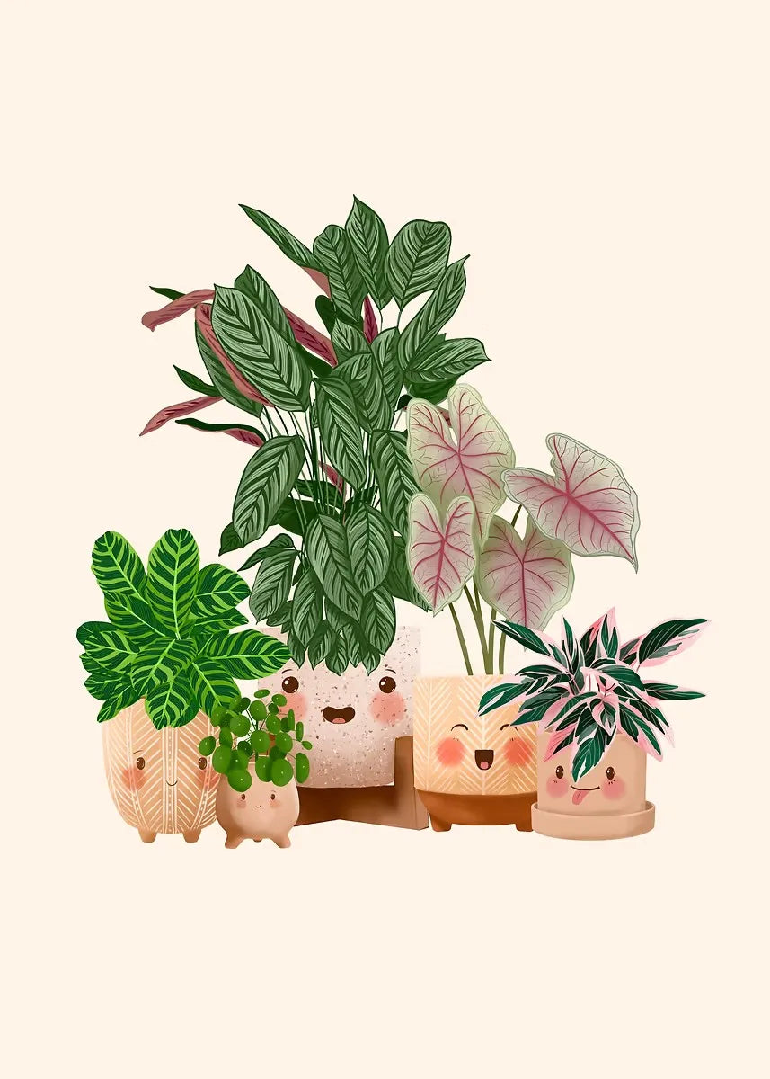 Trendy Cute Plants On A Shelf Posters Modern Quirky Plant Minimalism Prints Canvas Painting Wall Pictures Home Living Room Decor