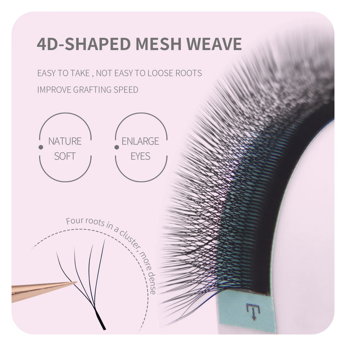Anime Character W Lash