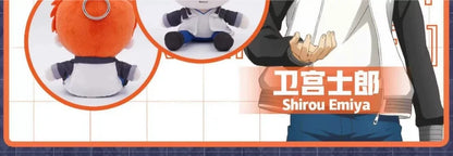 Fate stay night HF anime game peripheral plush toy blind box