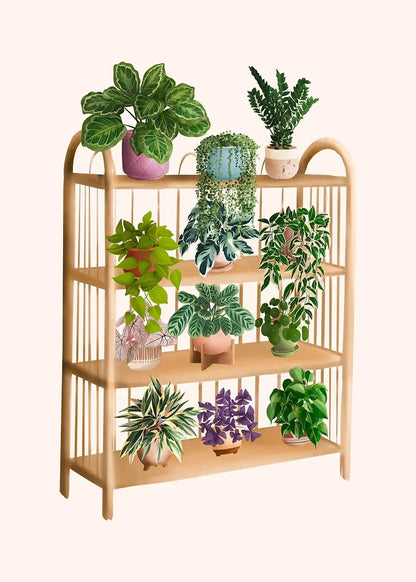 Trendy Cute Plants On A Shelf Posters Modern Quirky Plant Minimalism Prints Canvas Painting Wall Pictures Home Living Room Decor