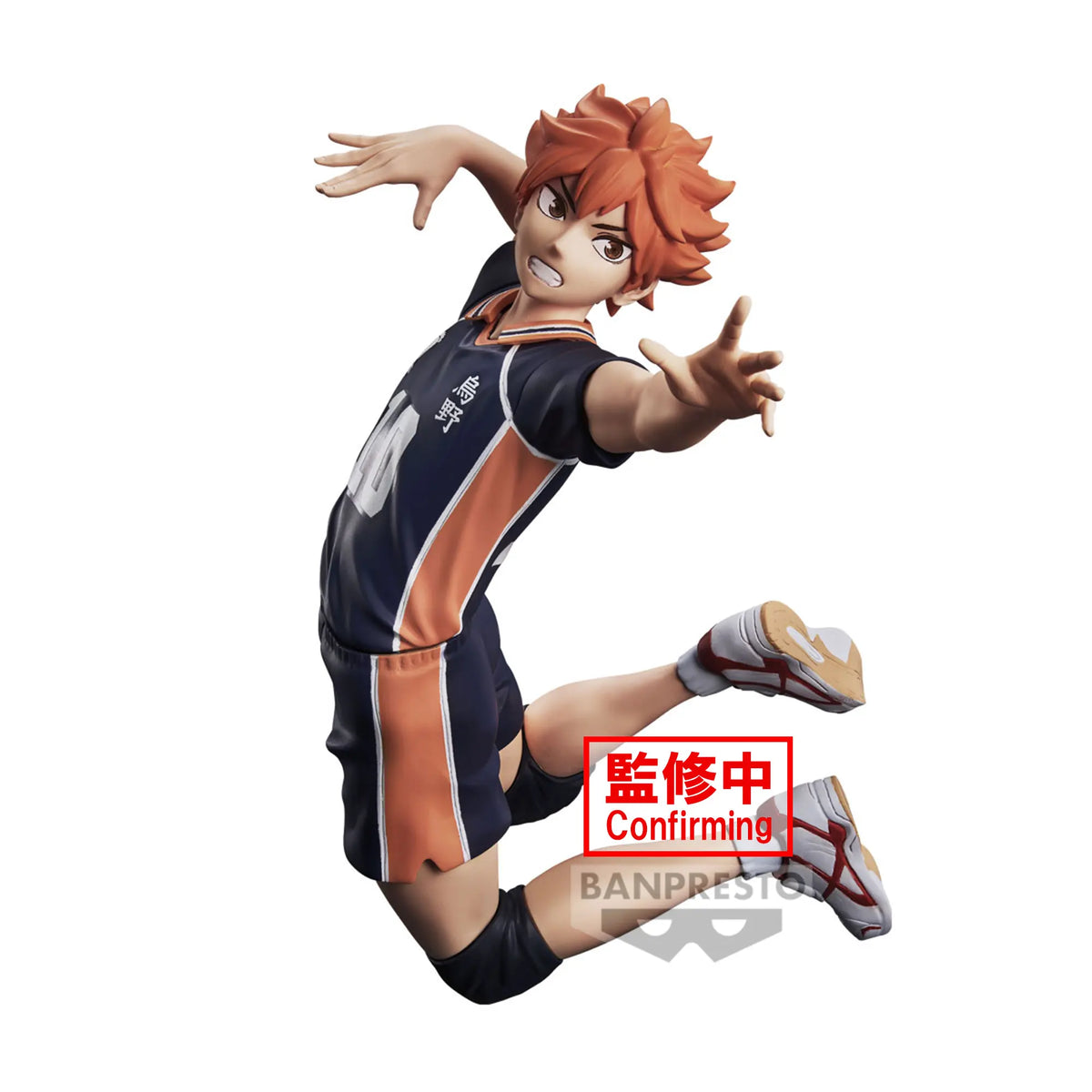 Haikyuu Shoyo Hinata Figure